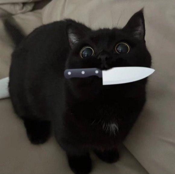 Meet your Posher, Ashley - Picture 1 of 1